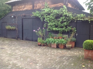 Rutolan Lacq Natuleum #7